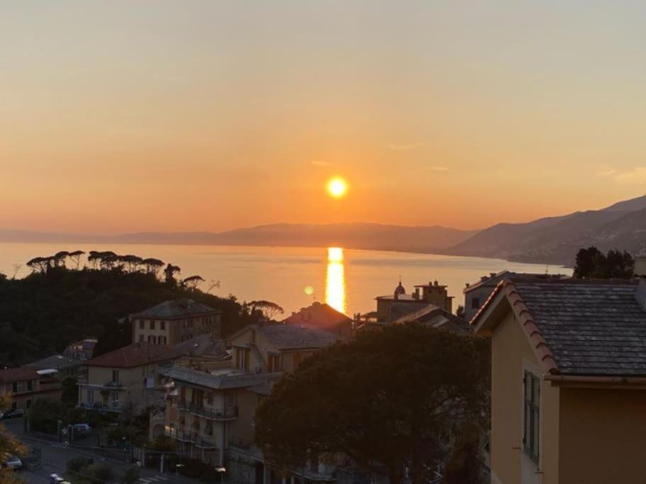 Vista Sul Golfo Daire Camogli Dış mekan fotoğraf